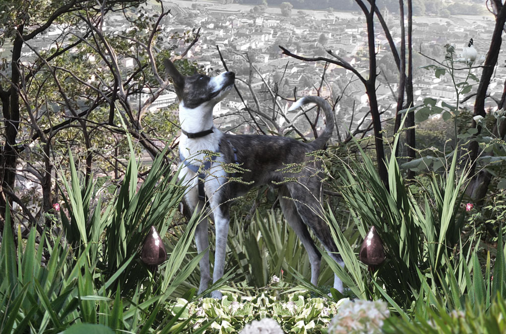 Kunsthalle Roveredo, Cover Collage/Illustration