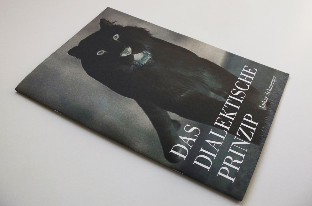 Das Dialektische Prinzip, Cover